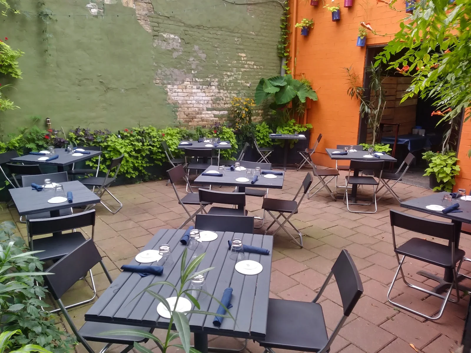 Best Enchiladas in Humboldt Park, Chicago
