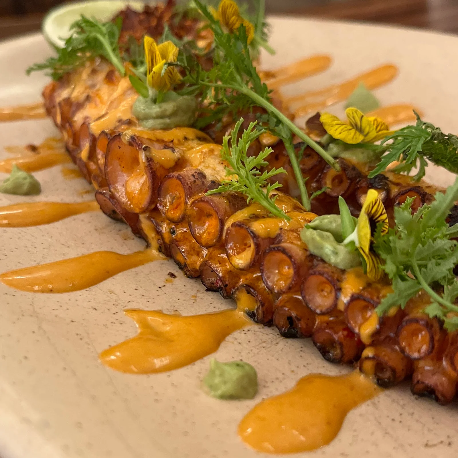 Best Octopus in Logan Square, Chicago