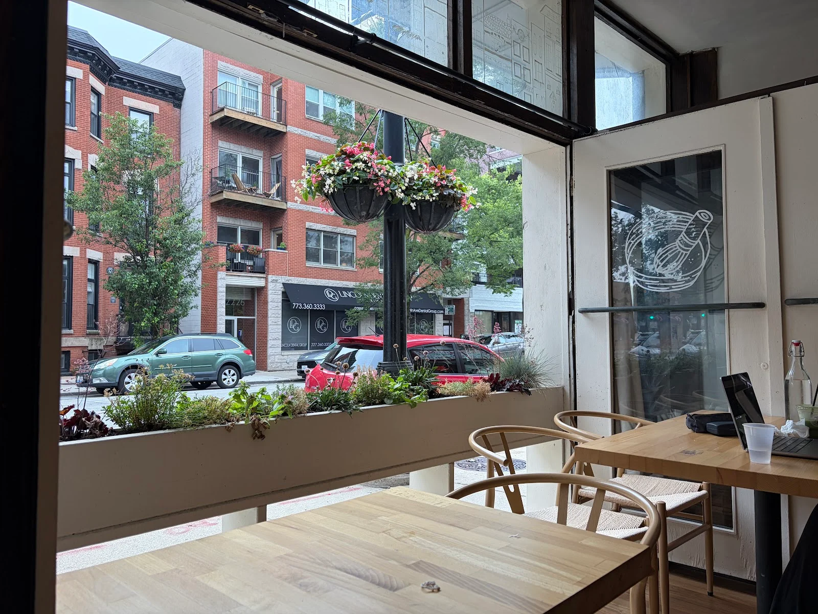 Best Matcha Drinks in Lincoln Park, Chicago