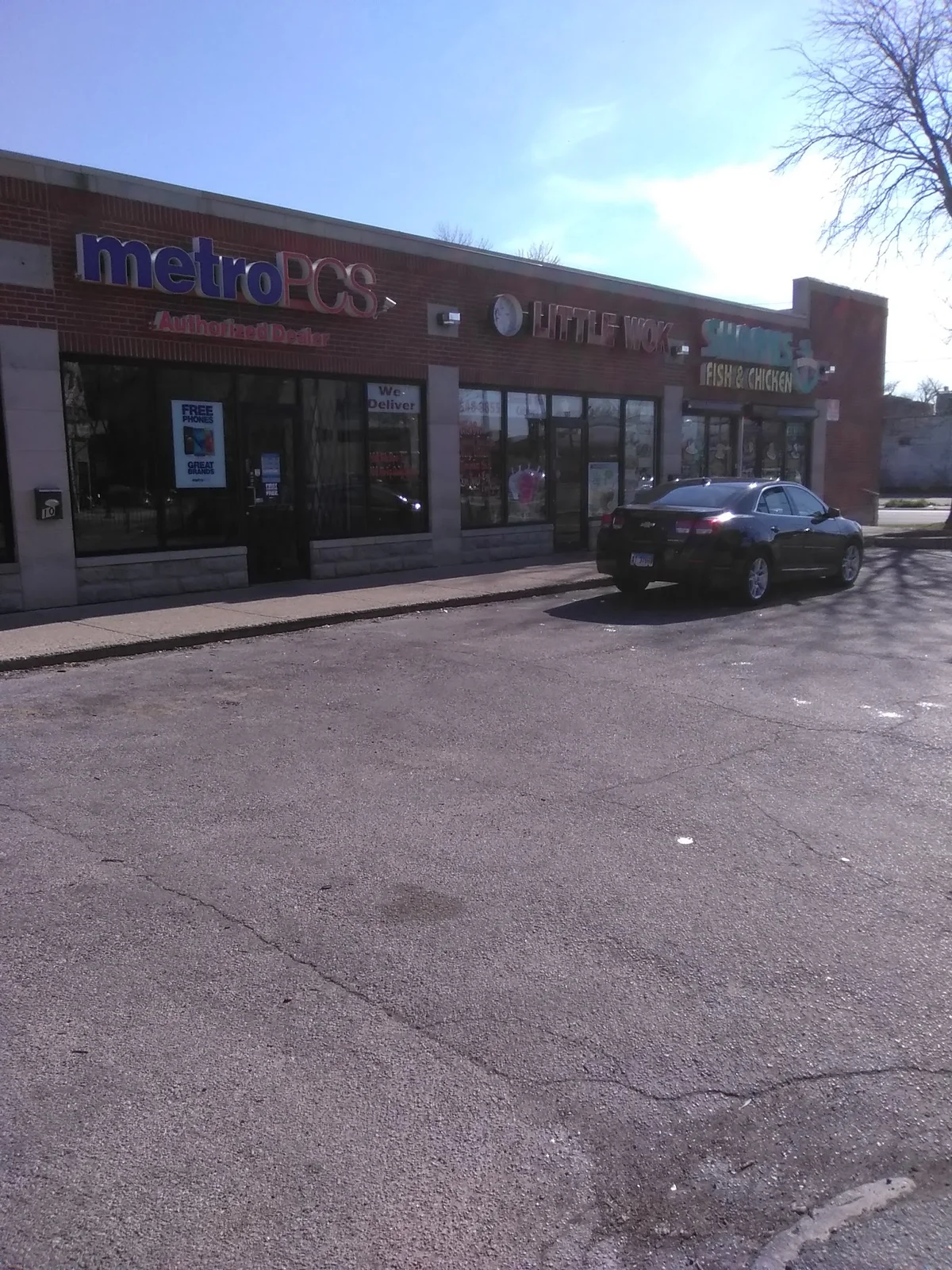 Best Dumplings in Washington Park, Chicago