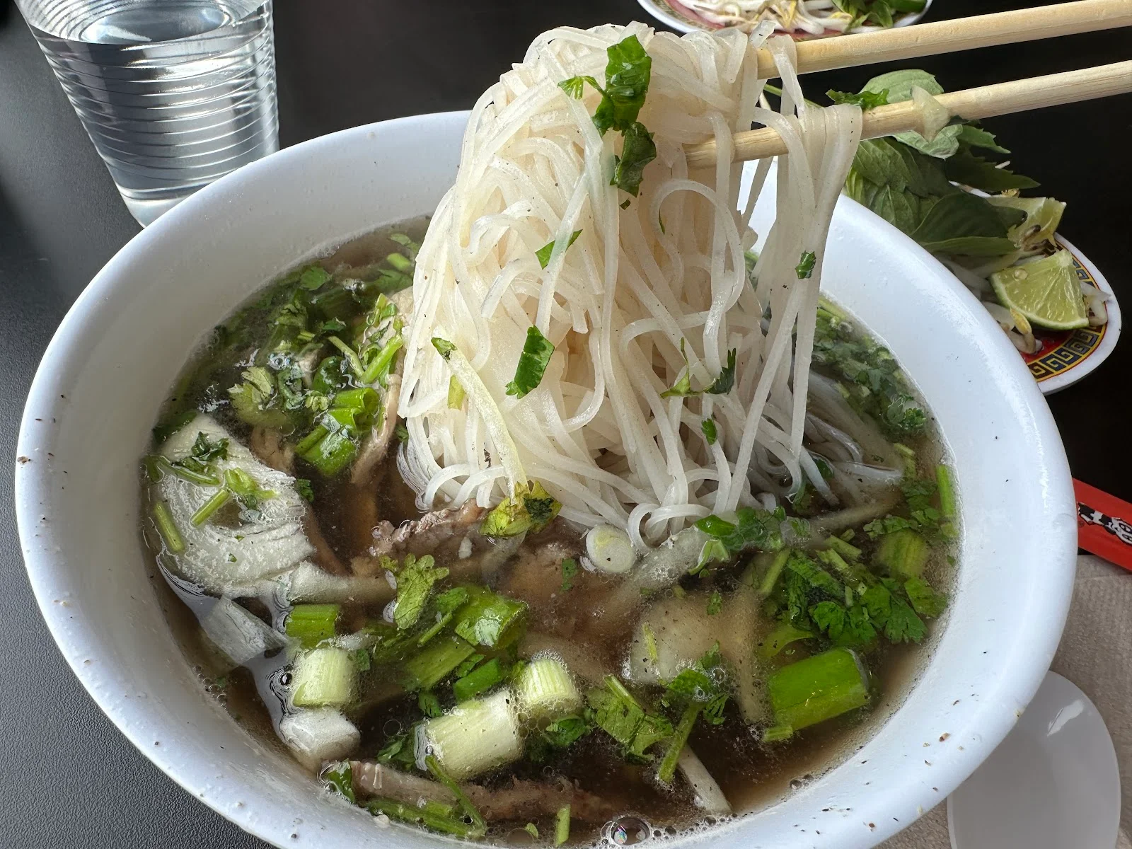 Best Pho in Logan Square, Chicago