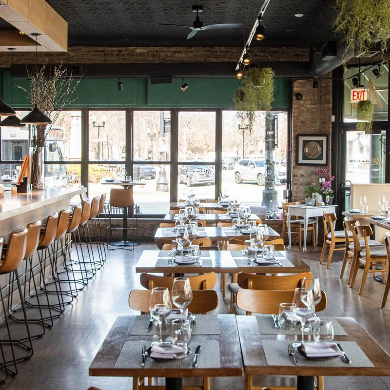 Best Martinis in North Center, Chicago