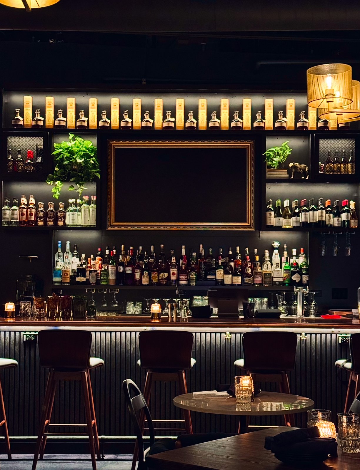 Best Cheese Plates in Edgewater, Chicago
