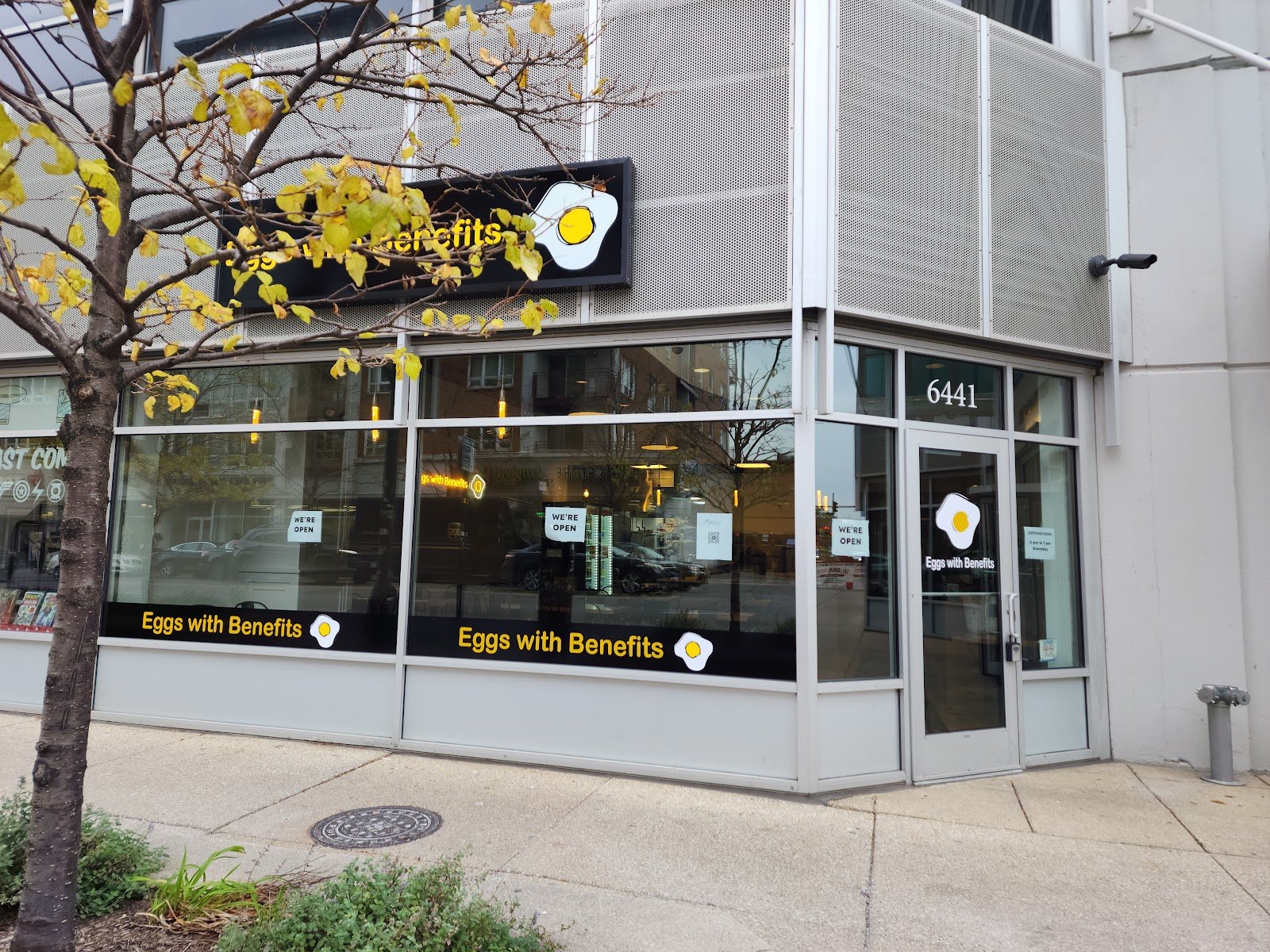 Best Rice Dishes in Rogers Park, Chicago